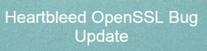 Heartbleed bug